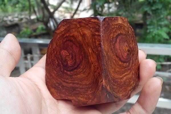 Cách nhận biết gỗ sưa đỏ senviet.com.vn